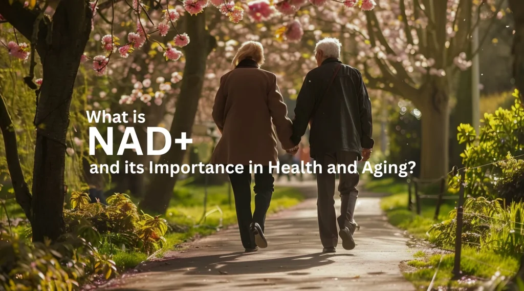 What is NAD+ and its Importance in Health and Aging?